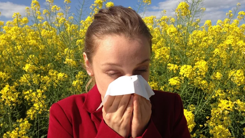 Alergia: jak sobie z nią radzić?